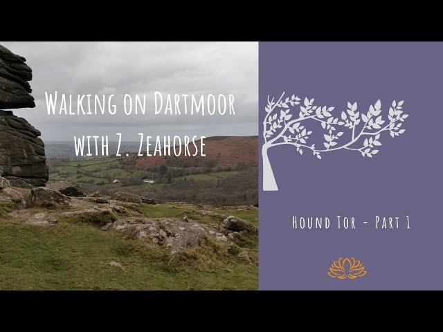 Walking with Z. Zeahorse - Dartmoor - Hound Tor - Part 1