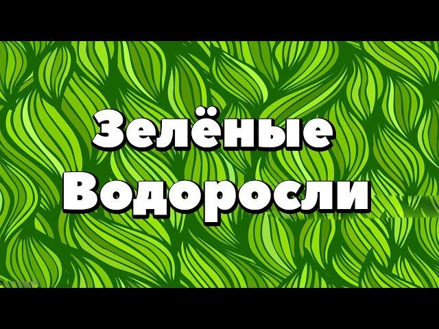 Ботаника.Зелёные водоросли.