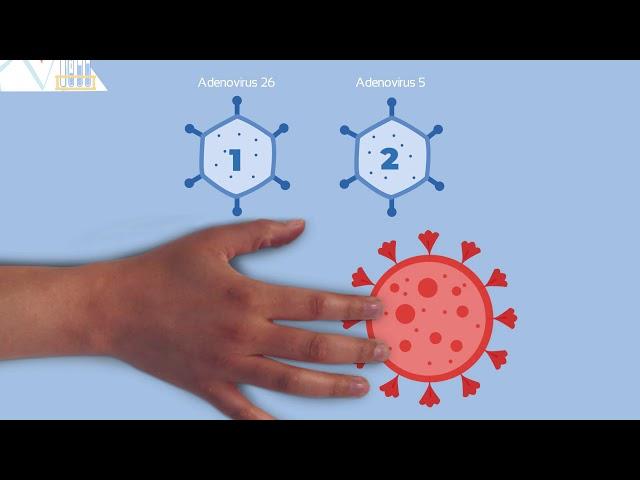 Ciclo de vacunas AntiCOVID-19: Vacuna Sputnik V