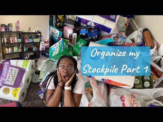 Stockpile Organizing Tour Part 1 2021 | Krys the Maximizer