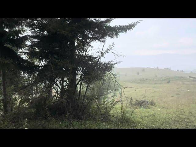 Rain in the mountains. Norshen. Անձրև լեռներում. Նորշեն. 26.7.2024