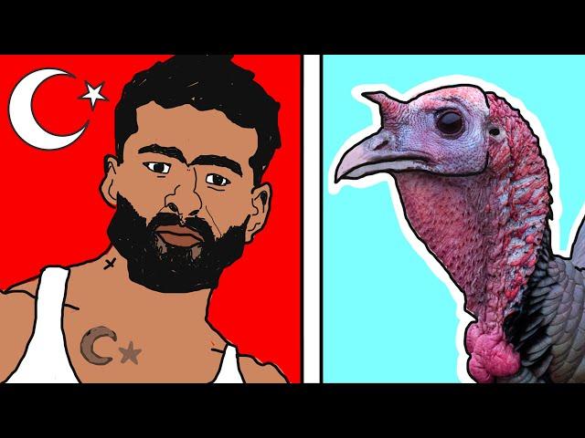 Turkey (country) VS Turkey (animal)