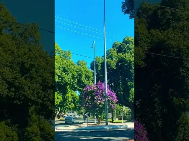 Streets in Toowoomba - Garden City of Queensland