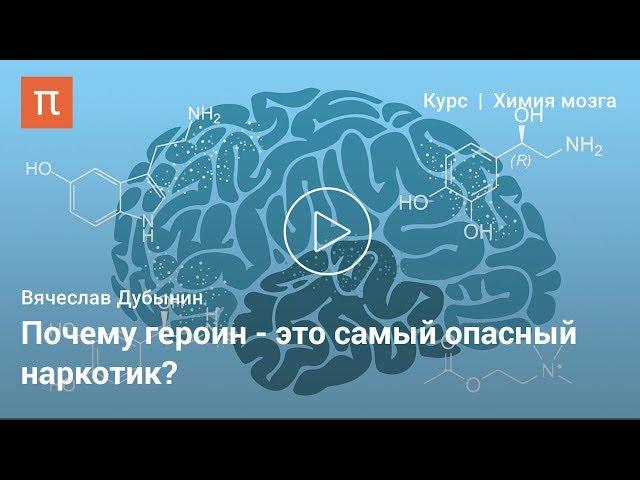 Эндорфины — Вячеслав Дубынин
