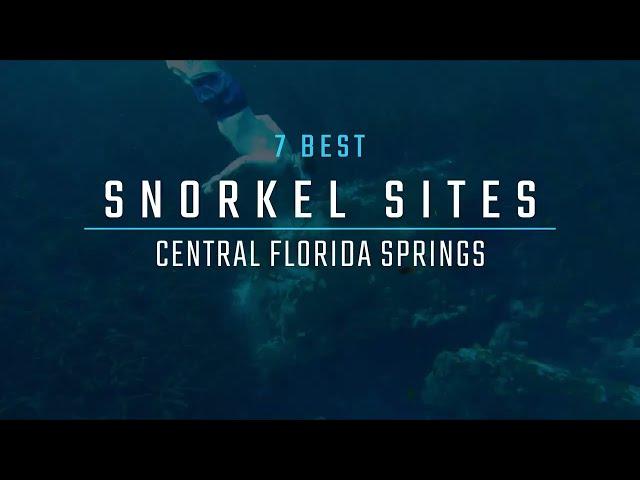 7 Best Places to Go Snorkeling in Central Florida | Crystal River manatees, Ginnie Springs, & more