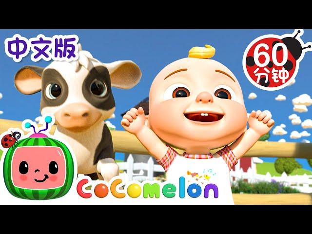 农场里的动物歌 | 大合集 | 經典熱門兒歌 | Kids Song | 動畫 | 童謠 | 儿童学习 | 卡通片 | CoComelon 中文 | Nursery Rhymes