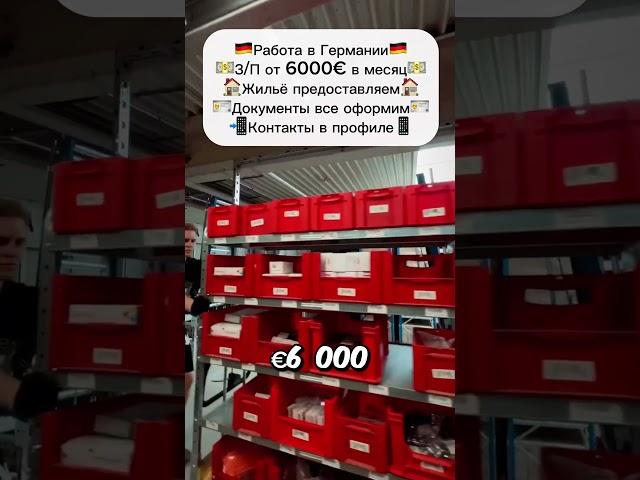 Работа на складах в Германии #вакансии #работа #работавевропе