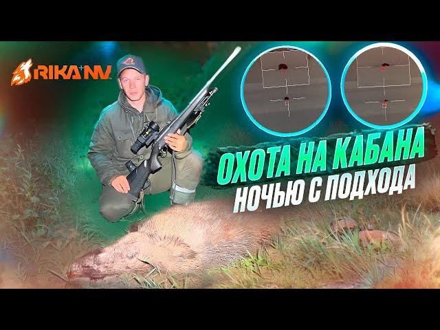 Охота на кабана с RIkaNV Lesnik 650L! Ночная охота в Беларуси с подхода!