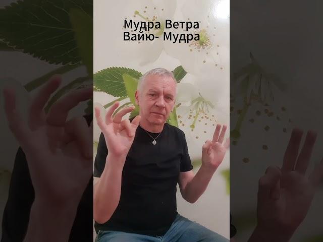 #Мудра - это мудро! Избавляемся от болезней, связанных с патогенным ветром #аюрведа см. описание