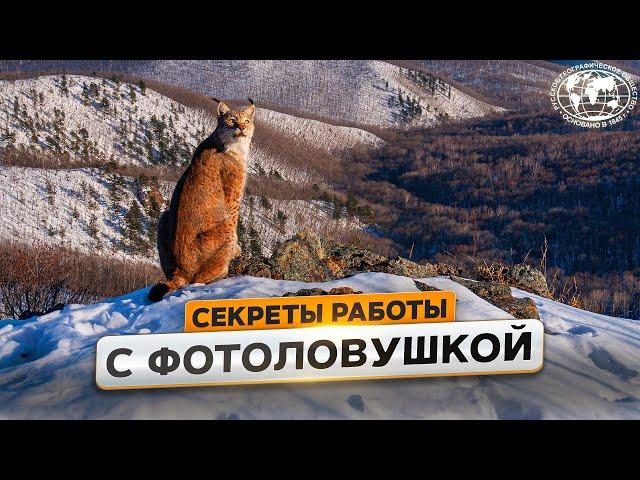 Снято на фотоловушку | @Русское географическое общество