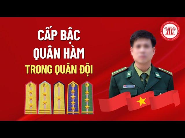 Cấp Bậc Quân Hàm Trong Quân Đội | THƯ VIỆN PHÁP LUẬT