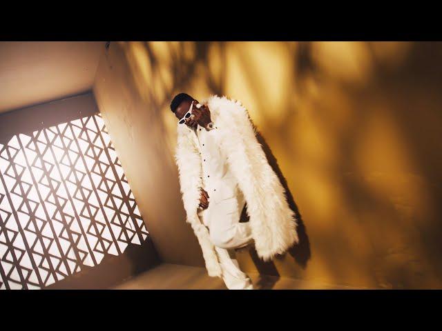 Harmonize - Ujana (Official Music Video)