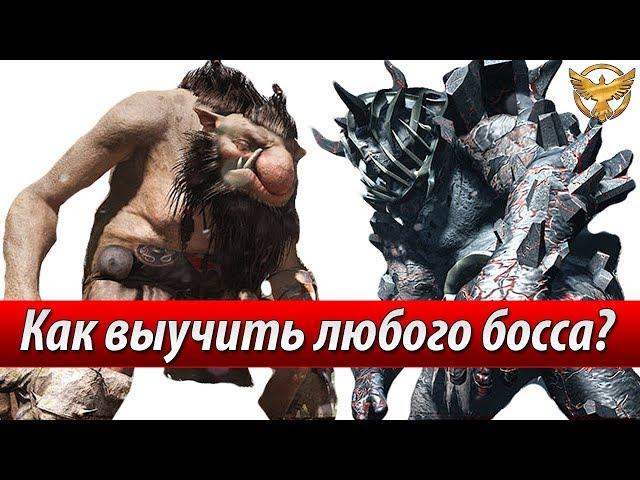 Black Desert – Знания на боссов | Гайды Black Desert