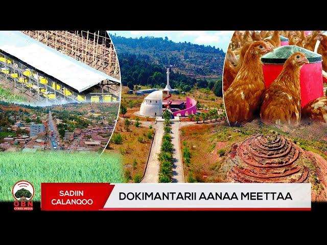 Dokimantarii Aanaa Meettaa | Sadiin Calanqoo