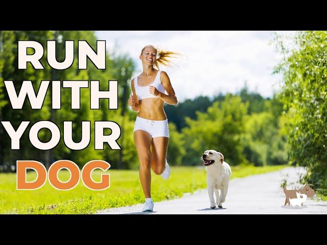 How to teach your dog to run with you - on and off the lead