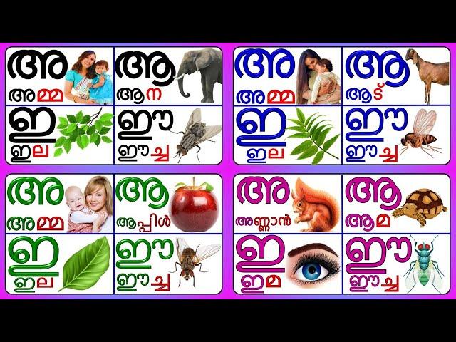 Learn Malayalam Letters/ Alphabets/ with video Malayalam@Prinitmalayalam