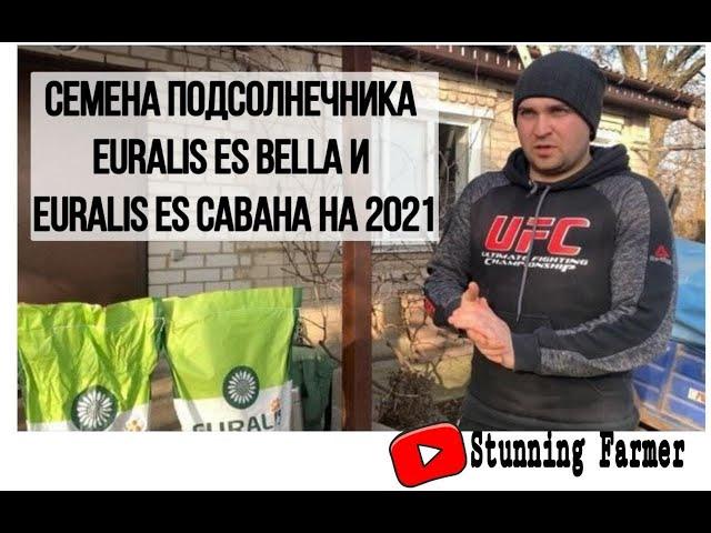 Семена подсолнечника EURALIS ES BELLA и EURALIS ES САВАНА на 2021