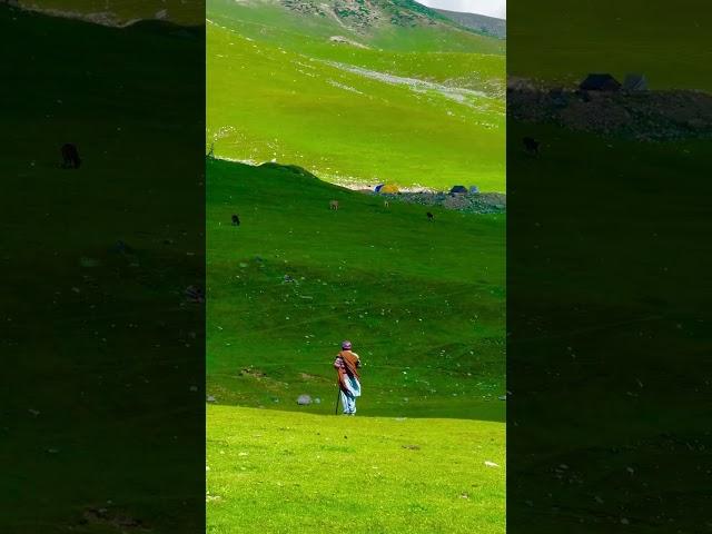 #favourite #lovely #natural #nature #nauterplay