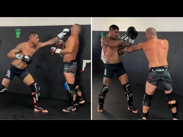 ALEX PEREIRA SPARS SEAN STRICKLAND