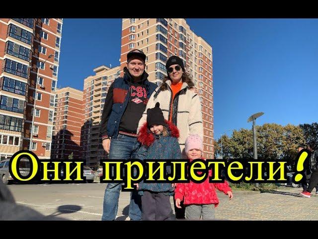 Они прилетели! Моя семья приехала в Краснодар