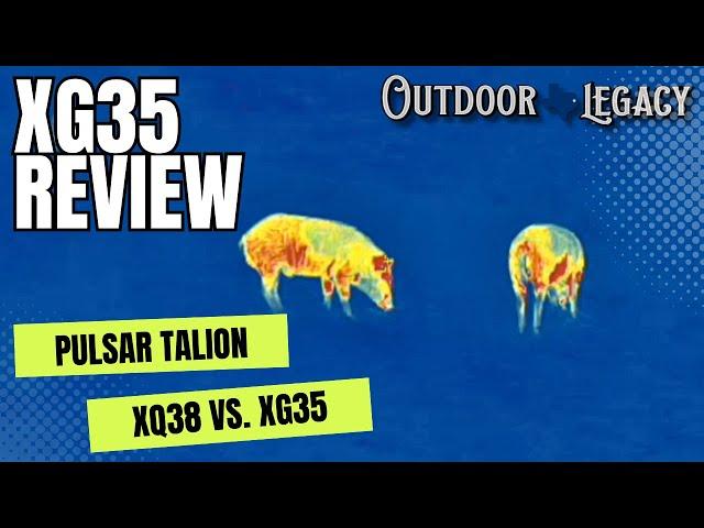 Pulsar Talion XQ38 vs. XG35 | 640 REVIEW