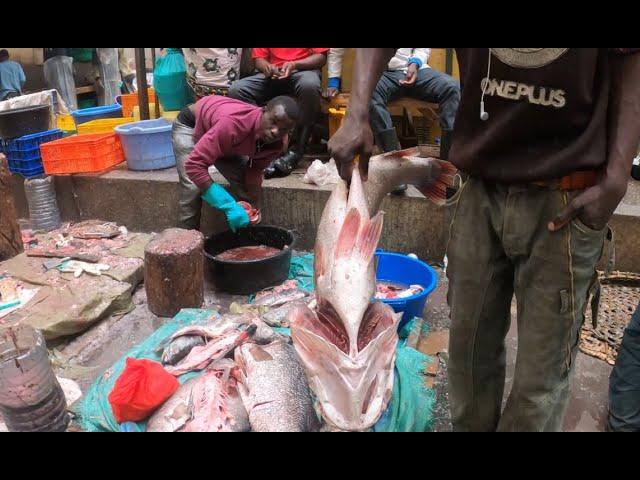 Kenya's Biggest Fish Market