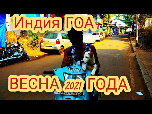 Индия ГОА Весна 2021 года