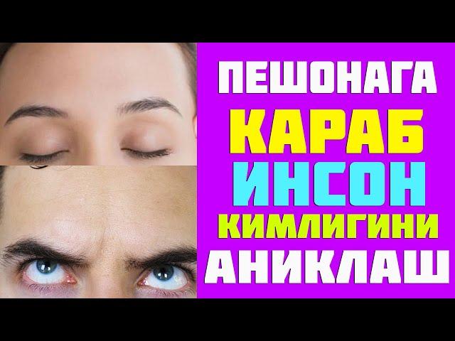 Пешонага караб инсон кимлигини аниклаш