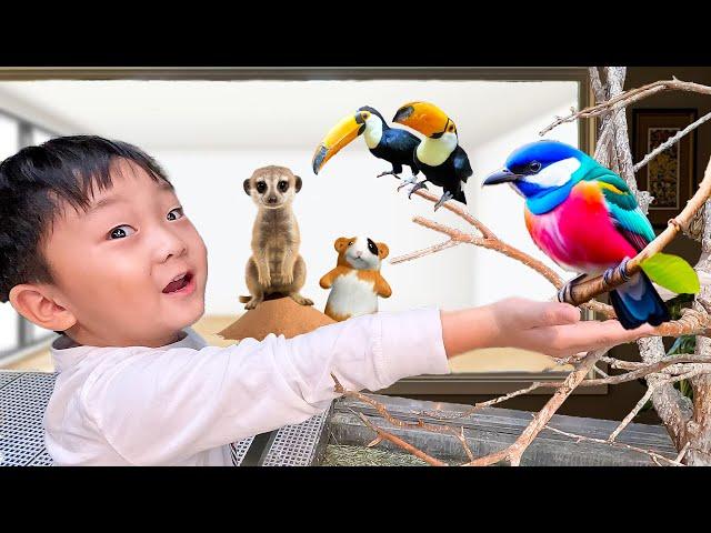 Indoor Zoo Feeding Animals Theme Park for Kids