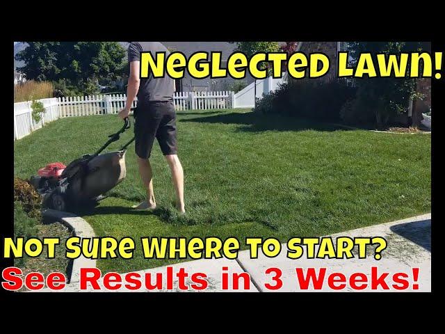 Fix Your Ugly Lawn Fast.  Lawn Tips for beginners