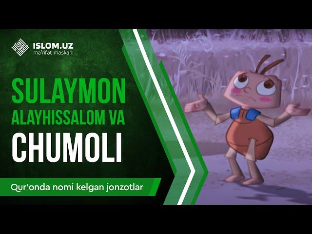 19. Sulaymon alayhissalom va chumoli (2-qism) | Qur'onda nomi kelgan jonzotlar