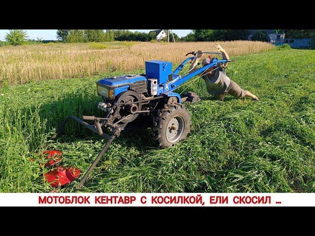 ЕЛИ СКОСИЛ , МОТОБЛОК КЕНТАВР С КОСИЛКОЙ,  КУПИЛ АКБ ДО МОТОБЛОКА / MOWER TO HEAVY MOTORBLOCK