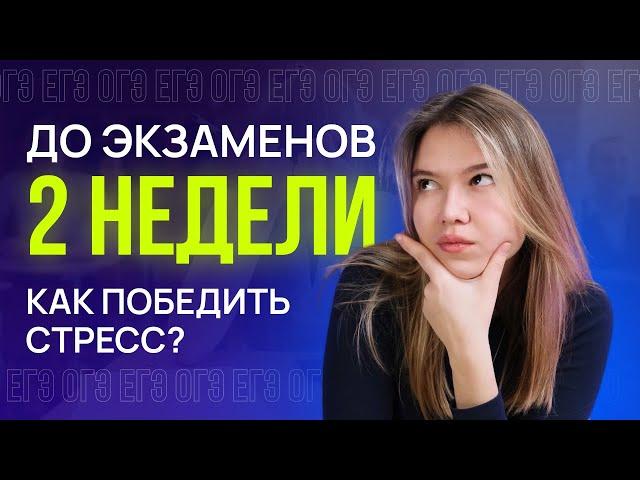 Стресс перед экзаменом: как не переживать из-за ОГЭ и ЕГЭ