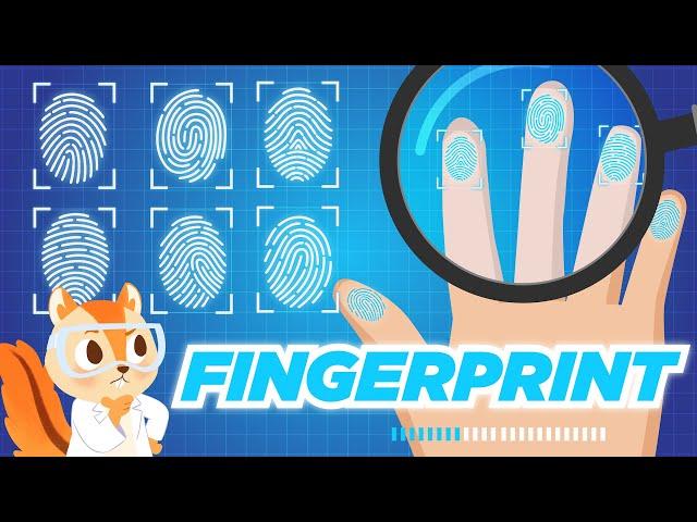 Everything you need to know about FINGERPRINTS | Cool Facts | Science Video for Kids