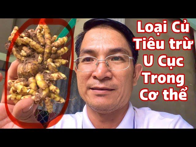 Loại Củ tiêu trừ u cục trong cơ thể. PHAN HẢI Channel