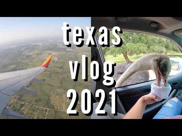 TEXAS VLOG 2021 | The Bats Under Congress Ave Bridge in Austin  + Wildlife Ranch in San Antonio