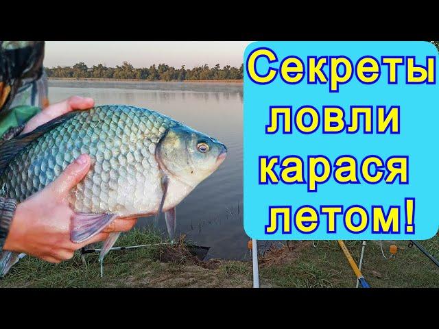 Как ловить карася летом! Секреты ловли карася летом! Лайфхаки для новичков!