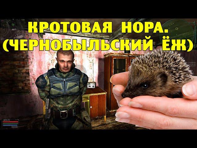 ОП-2.1.  Кротовая нора.