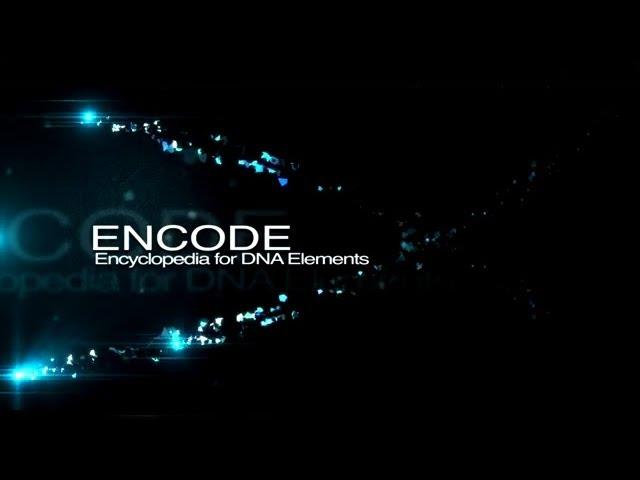 ENCODE: The Encyclopedia of DNA Elements