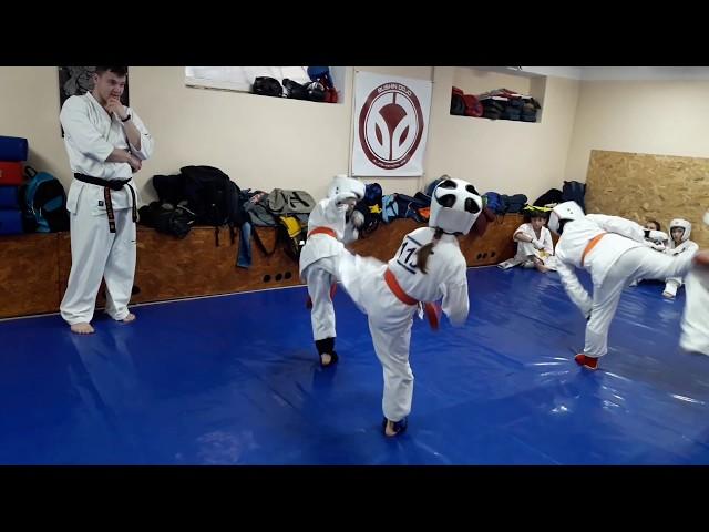 New Year training Kyokushinkai IPPON Dojo Moldova