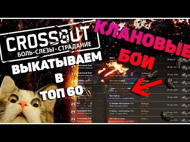 CROSSOUT CW [HJIO] 16/01/2021 • TOP 60 • ДИКОБРАЗ В КРОССАУТ