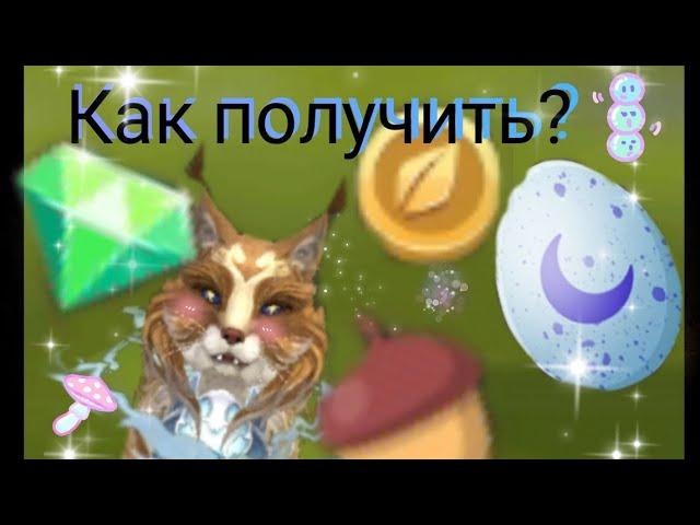 Как получить Монеты, Кристаллы , Жёлуди и Лунные камни? #wildcraft