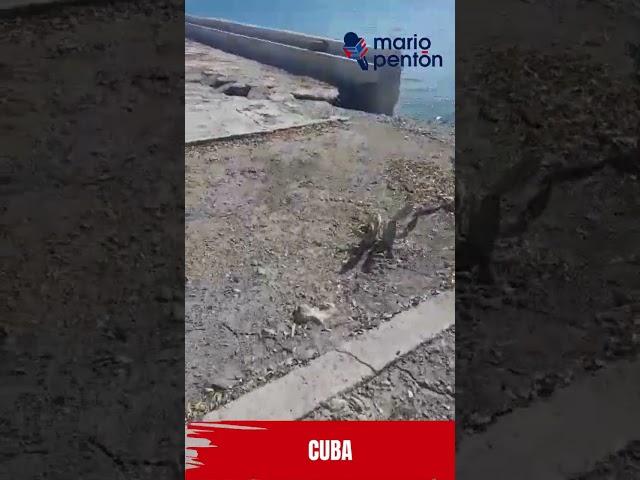 Imágenes de los estragos del terremoto en Pilón, Granma, Cuba