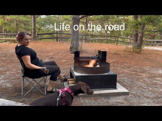 Living in my van | Ruby gets her feet wet at the beach | Campfire Mac & Cheese #glutenfree #vanlife