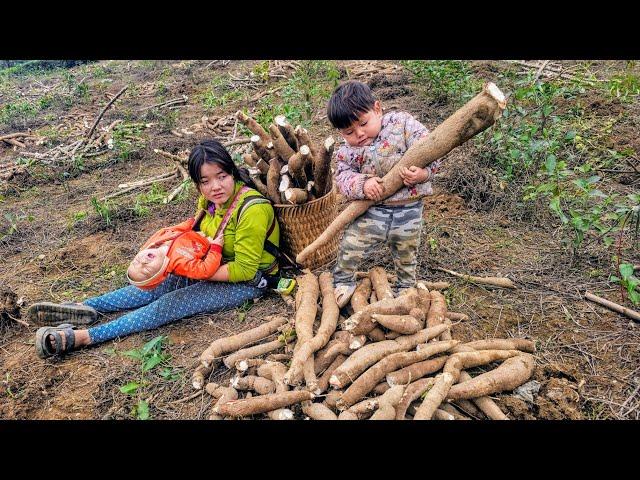 single mothers go to work to earn money to buy rice - lý thi My