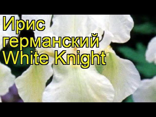 Ирис германский Уайт Найт. Краткий обзор, описание характеристик iris germanica White Knight