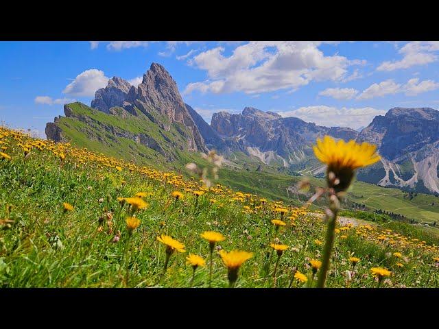 Trentino  Alto Adige 2024