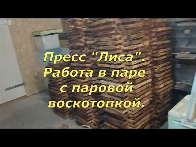 Пресс "Лиса". Работа в паре с паровой воскотопкой. Часть 3. (18.11.2024)