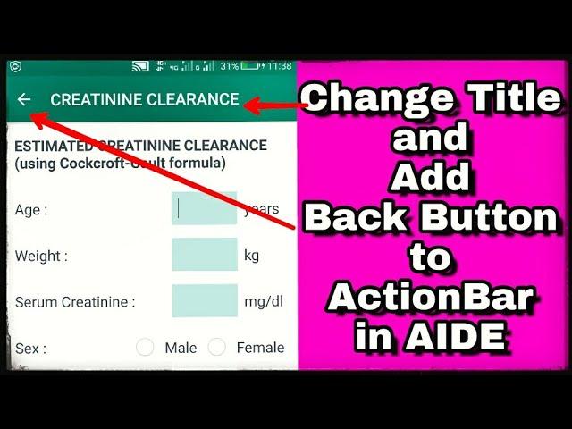 Change Title and add Back button on Action Bar in AIDE