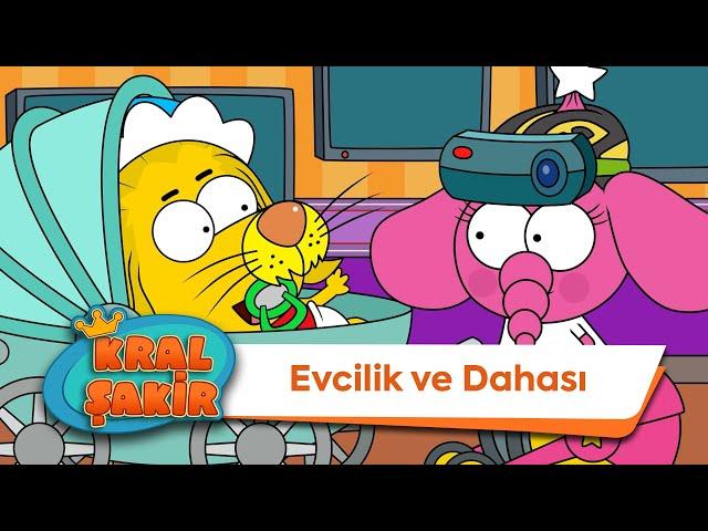 Evcilik ve Dahası  - Kral Şakir